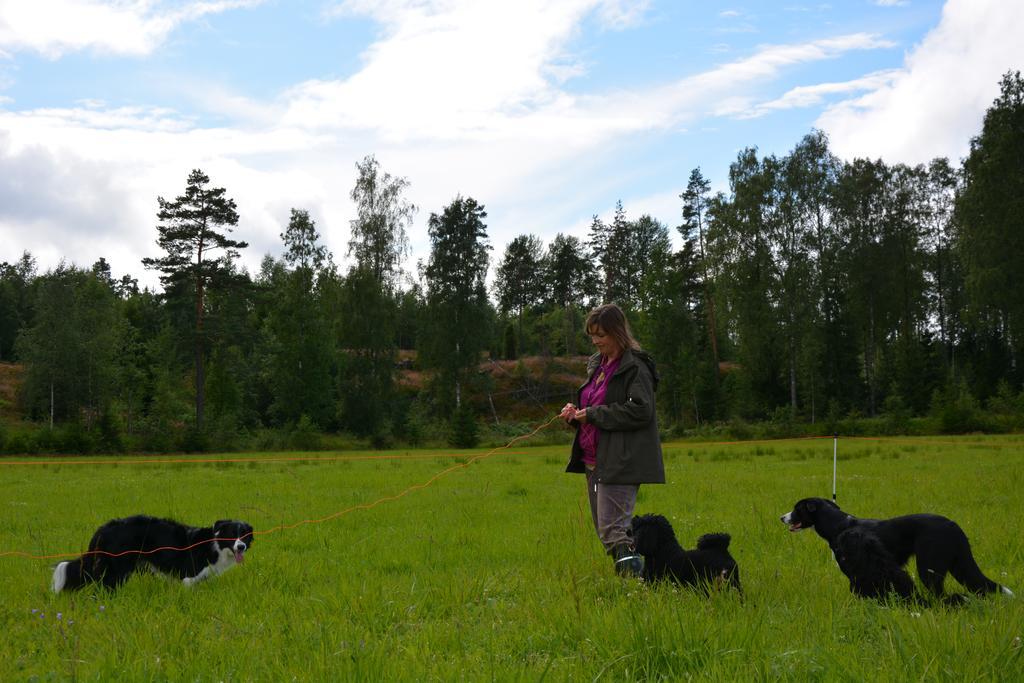 Holiday Cottage Tiira With Sauna House Raseborg Buitenkant foto