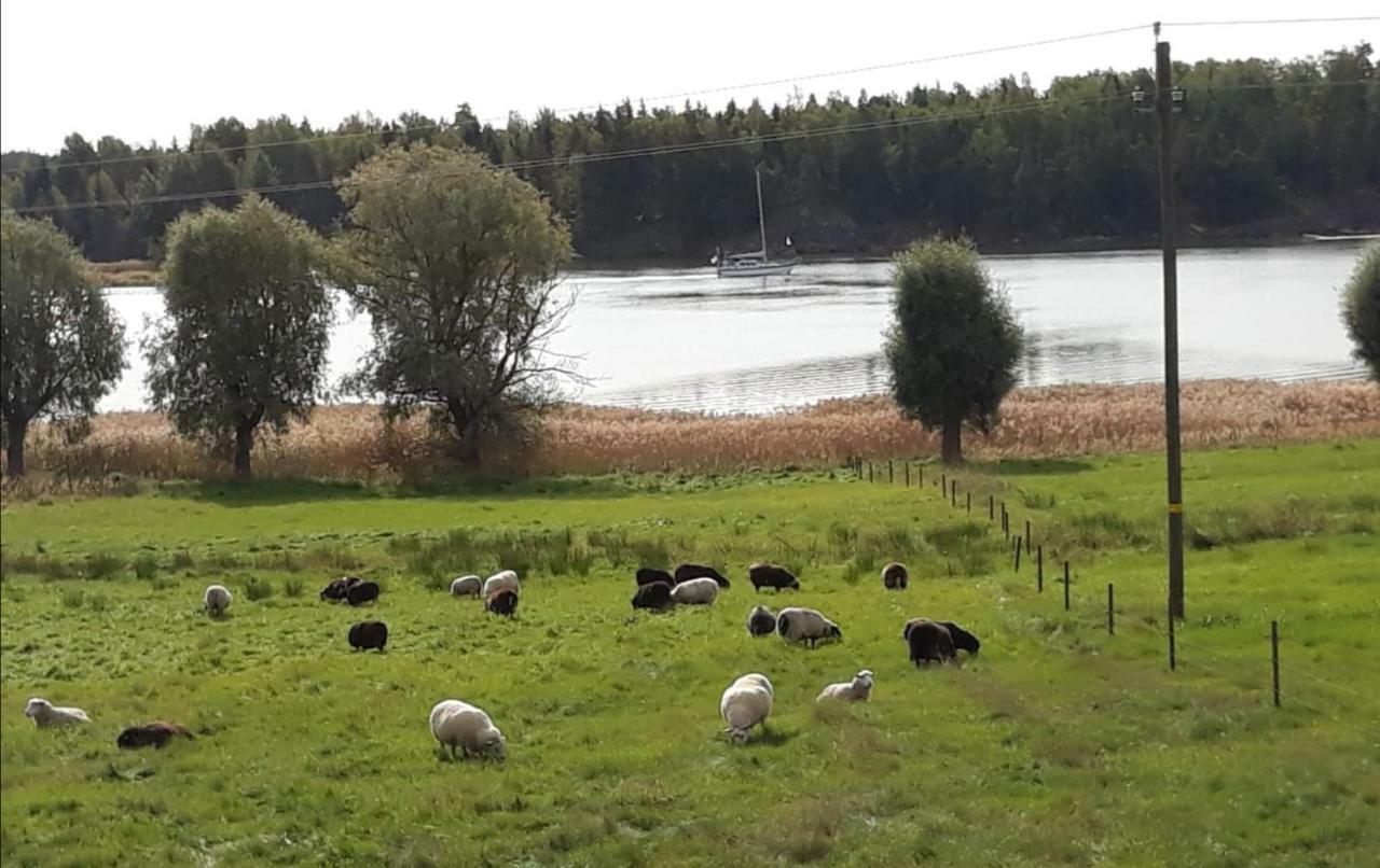 Holiday Cottage Tiira With Sauna House Raseborg Buitenkant foto